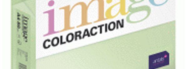 Image Coloraction